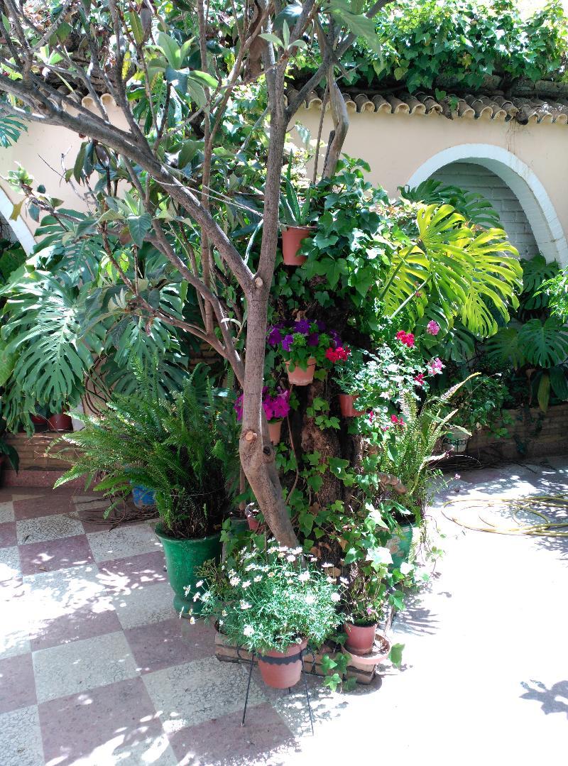 Hotel Castillo Lanjarón